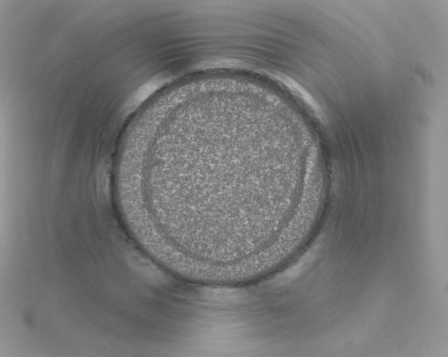 X0000115050921200911231150