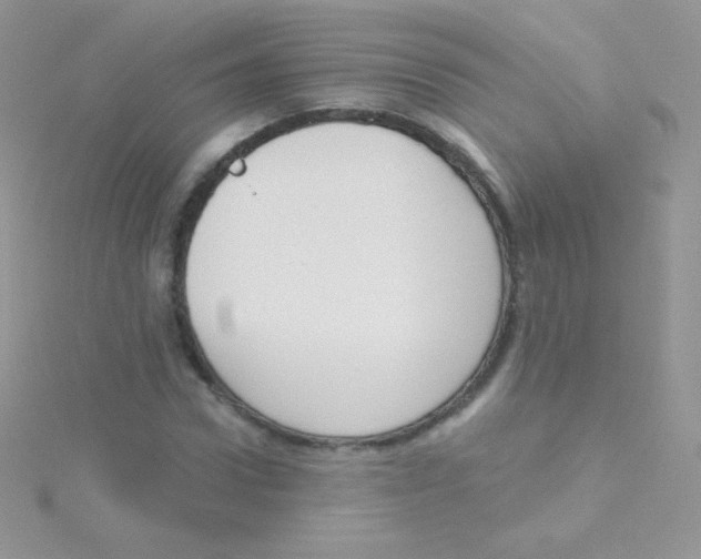 X0000115050922200911231150