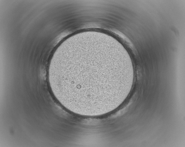 X0000115050929200911231151