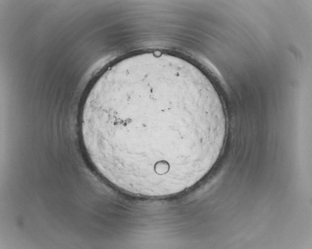 X0000115050930200911231151