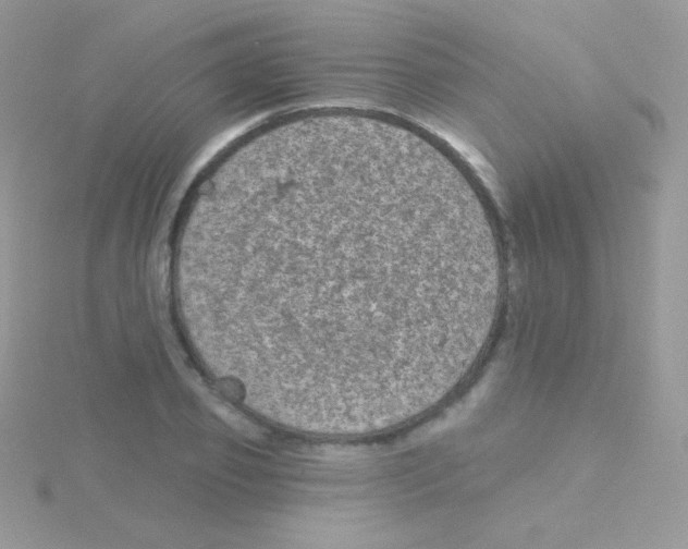 X0000115050933200911231151