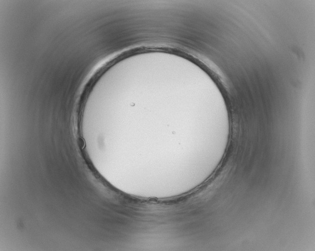 X0000115050935200911231151