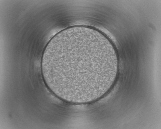 X0000115050937200911231151