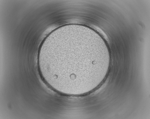 X0000115050938200911231151