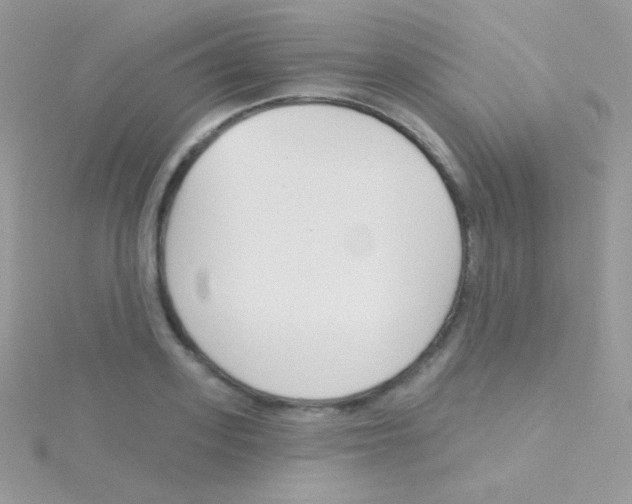 X0000115050939200911231151