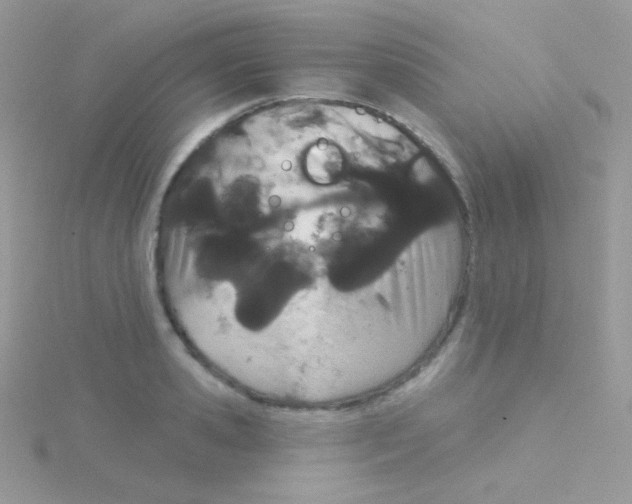 X0000115050941200911231151