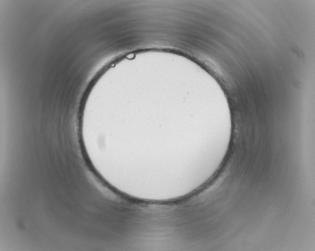 X0000115050942200911231151