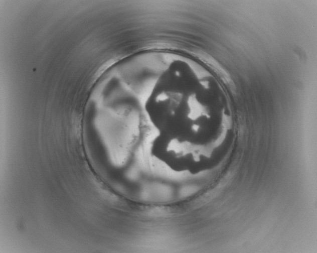 X0000115050945200911231151