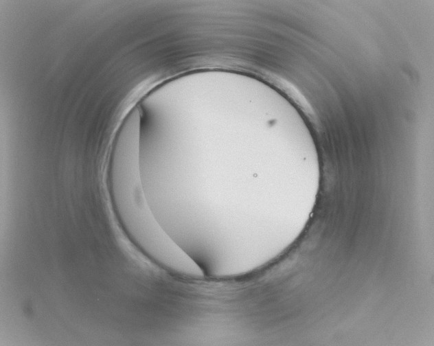 X0000115050946200911231151