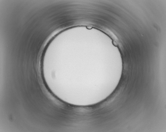 X0000115050947200911231151