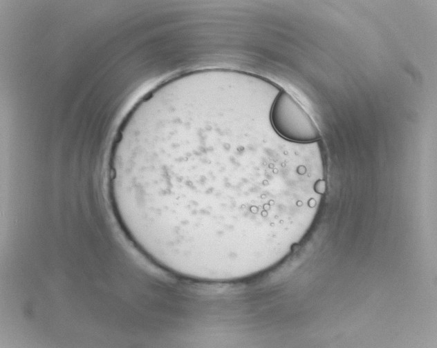 X0000115050949200911231151