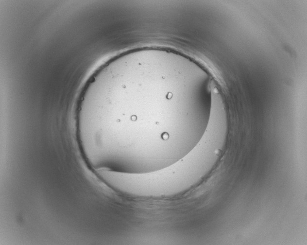 X0000115050950200911231151