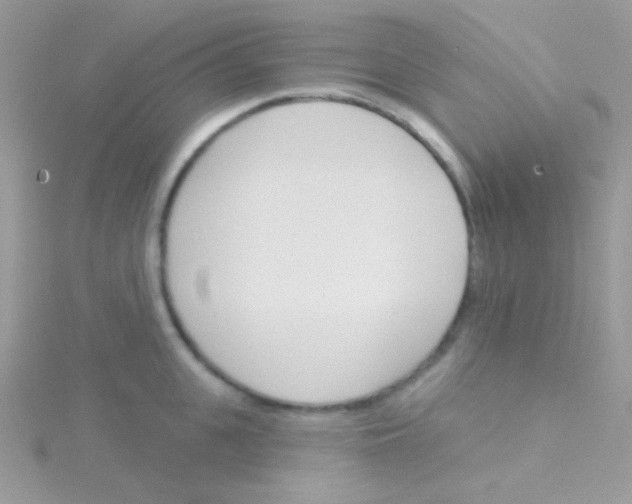 X0000115050951200911231151