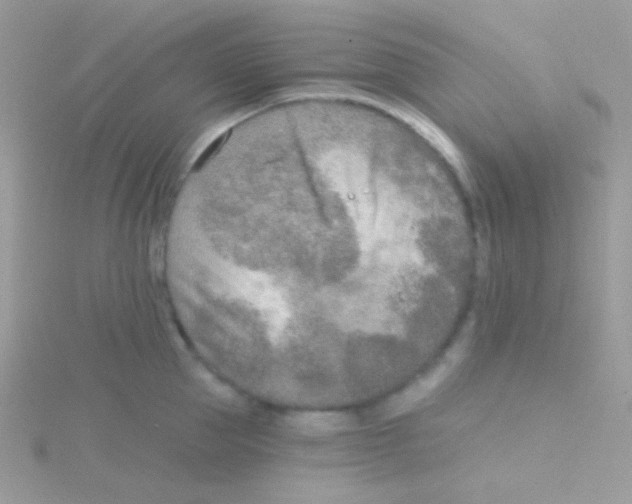 X0000115050953200911231151