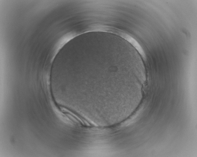 X0000115050954200911231151