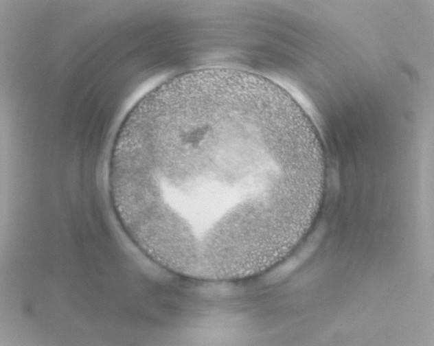 X0000115050957200911231151