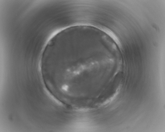 X0000115050958200911231151