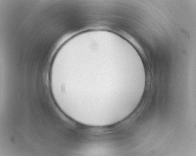 X0000115050959200911231151