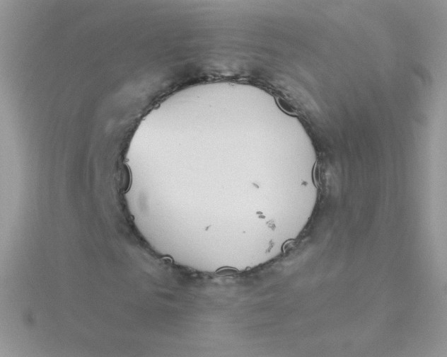 X0000115050961200911231150