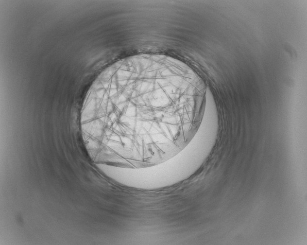 X0000115050964200911231150