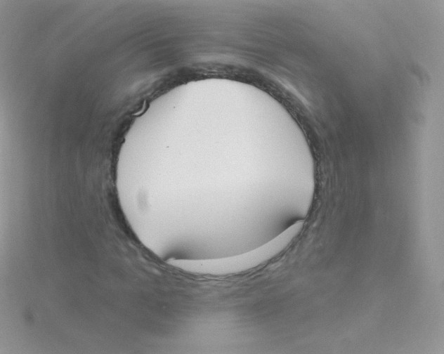 X0000115050965200911231150