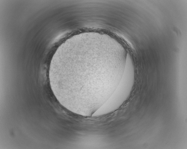 X0000115050968200911231150