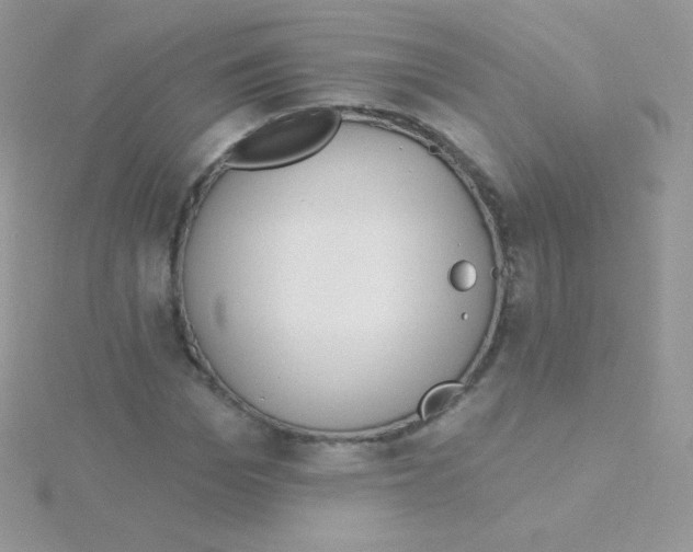 X0000115050969200911231150