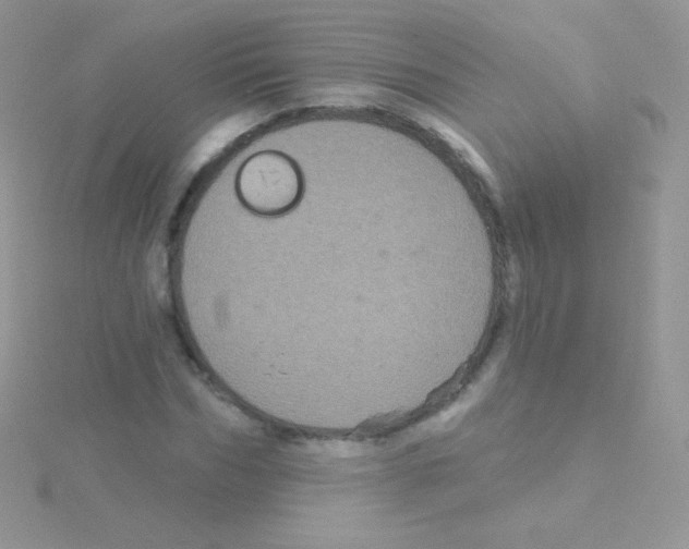 X0000115050970200911231150