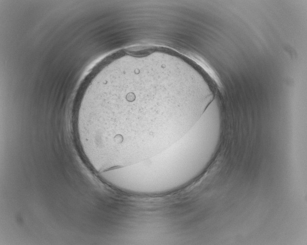 X0000115050972200911231150