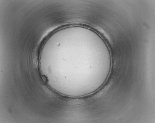 X0000115050973200911231150