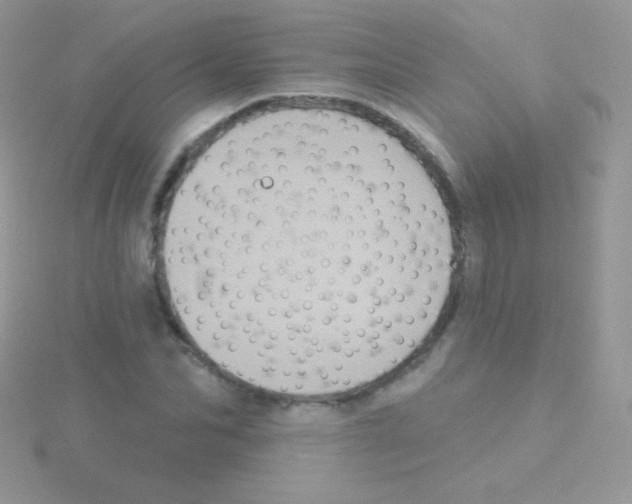 X0000115050974200911231150