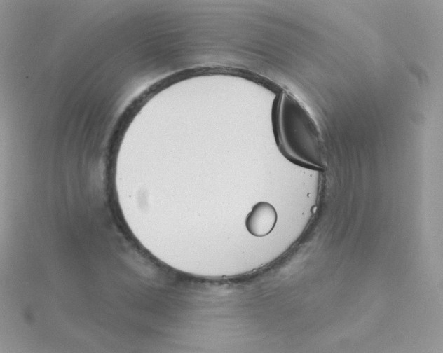 X0000115050975200911231150