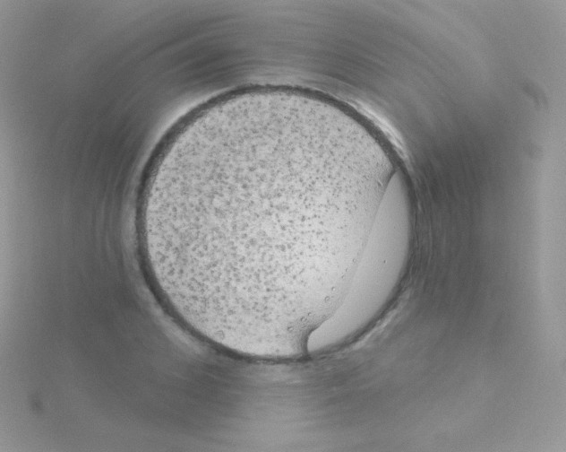 X0000115050976200911231150