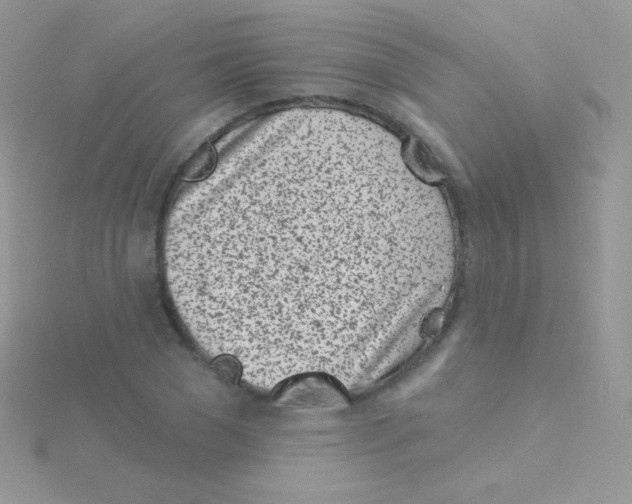 X0000115050977200911231150