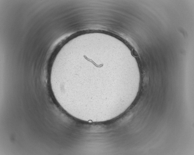 X0000115050979200911231150