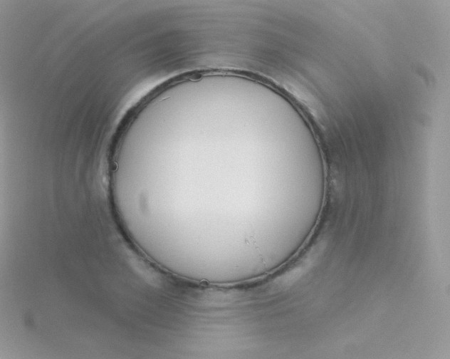 X0000115050981200911231150