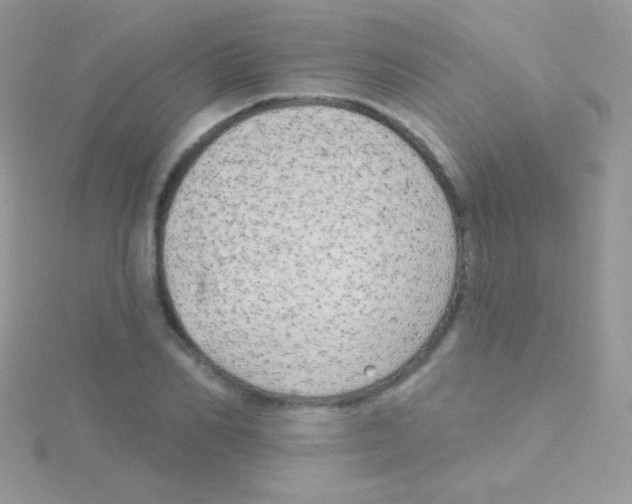 X0000115050982200911231150