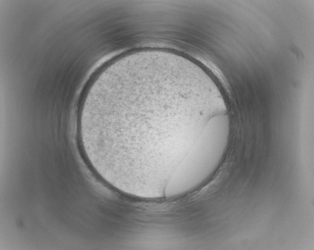 X0000115050984200911231150