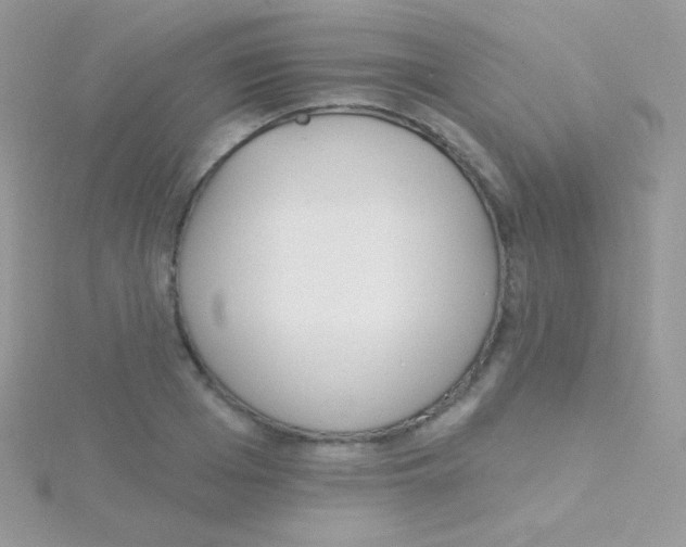 X0000115050985200911231150