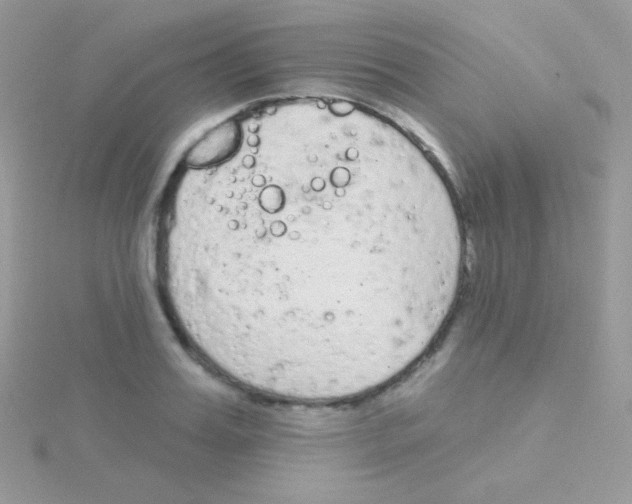 X0000115050987200911231150