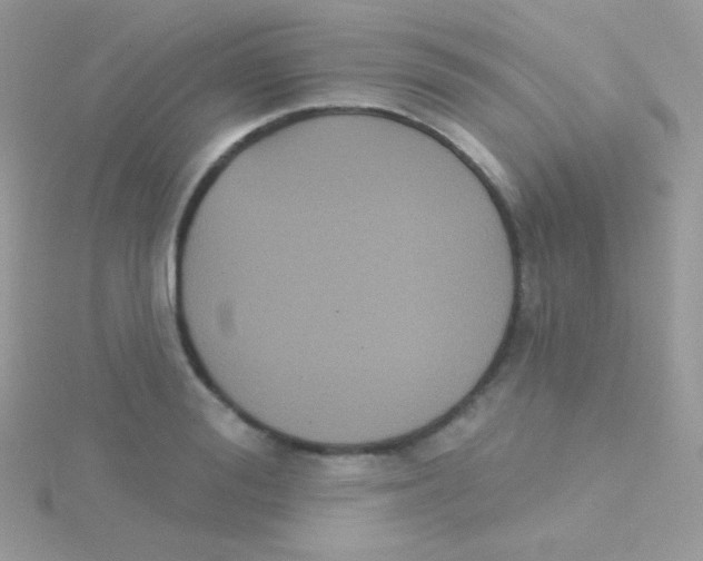 X0000115050988200911231150