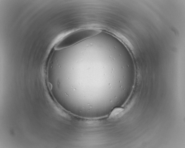 X0000115050989200911231150