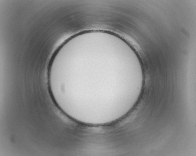 X0000115050990200911231150