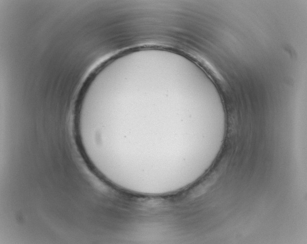 X0000115050991200911231150