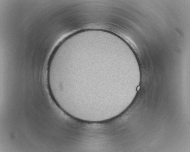 X0000115050992200911231150