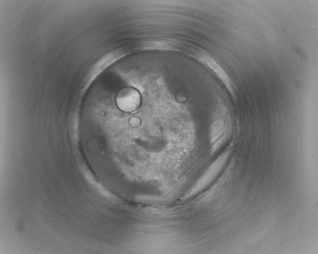 X0000115050994200911231150