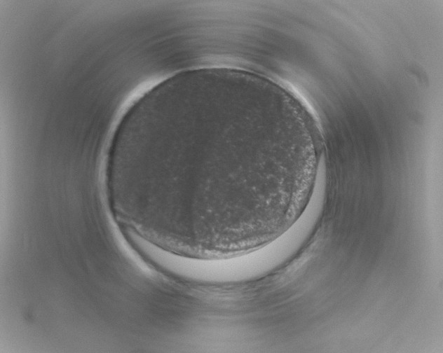 X0000115050995200911231150