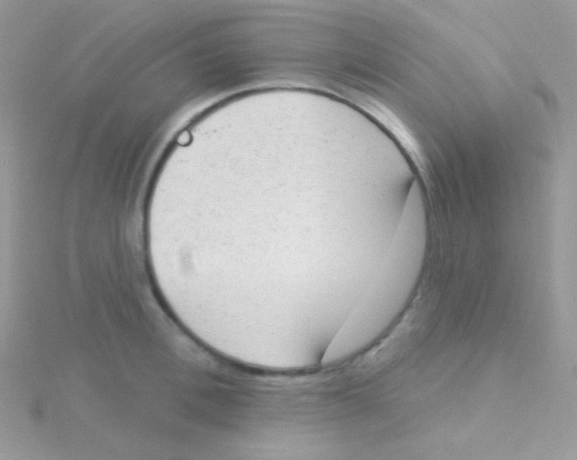 X0000115050996200911231150