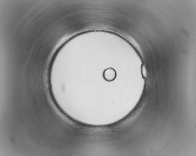 X0000115050997200911231150