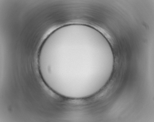 X0000115050998200911231150